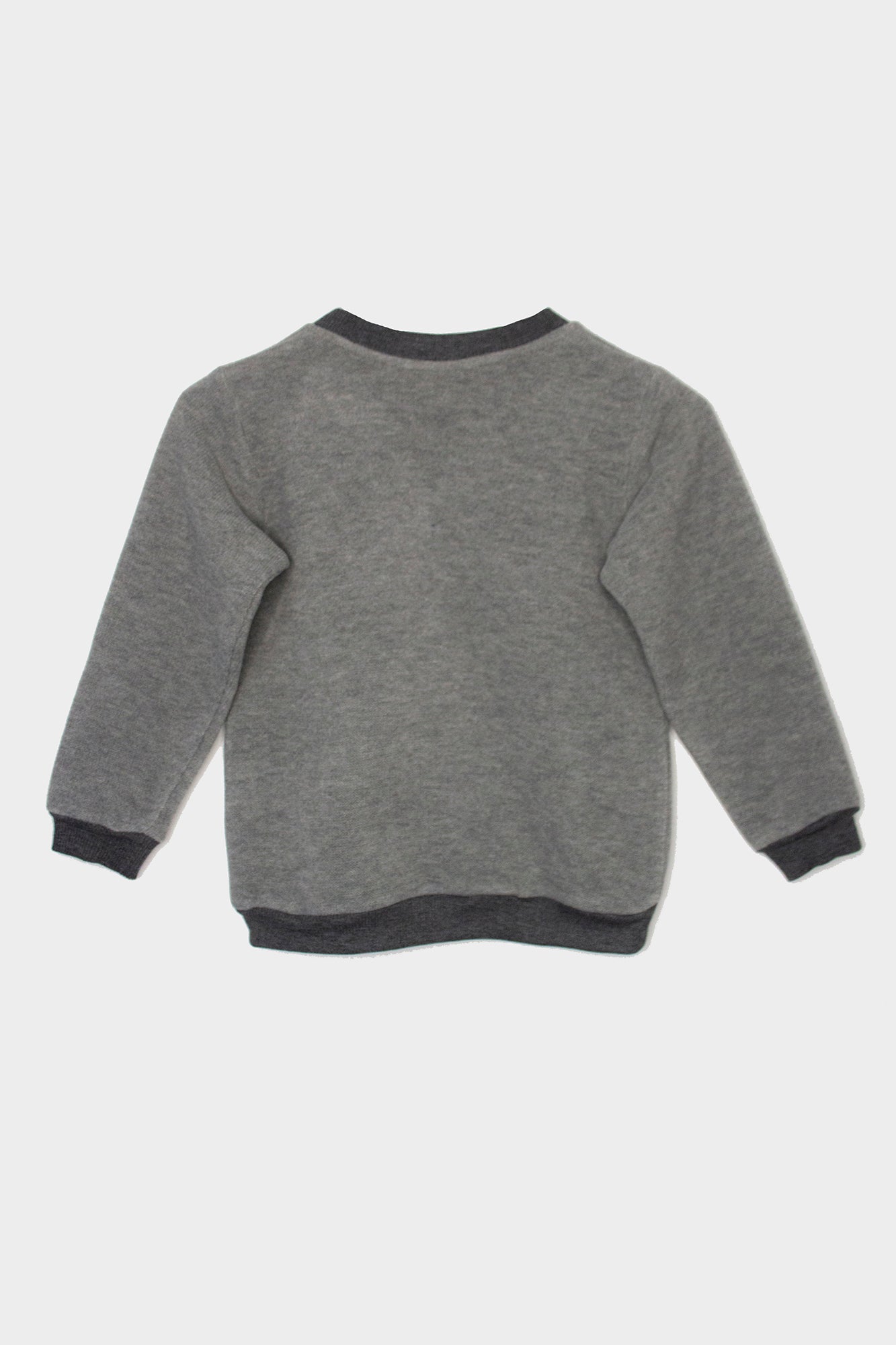 Kid’s sweater One Wolf, grey with small patch